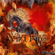 Wildfire Motor Sports
